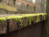P2244405.JPG