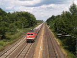 P8053614.JPG
