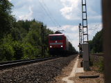 P8053645.JPG