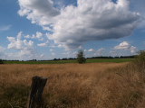 P8053664.JPG
