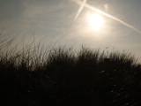 PA113913.JPG