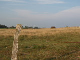 PA113915.JPG